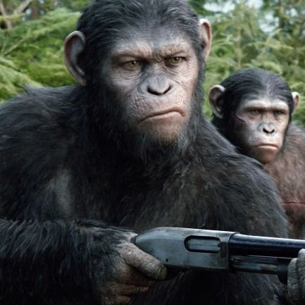 Auruaury's profile picture. 