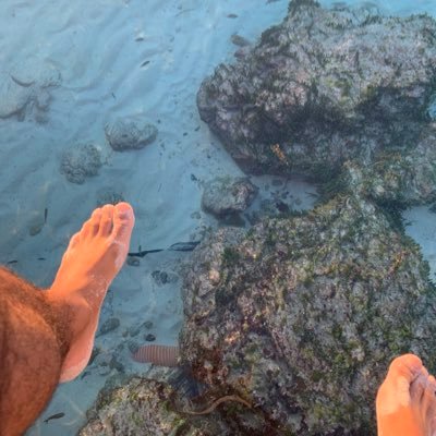 leokid089's profile picture. 