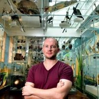 Museum Ian(@trumerz) 's Twitter Profile Photo