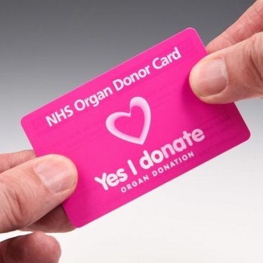 Organ Donation