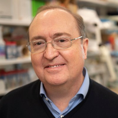 Professor in Stem Cell Neurobiology at Karolinska Institute interested in dopamine neurons, development, regeneration, single cells and Parkinson's disease