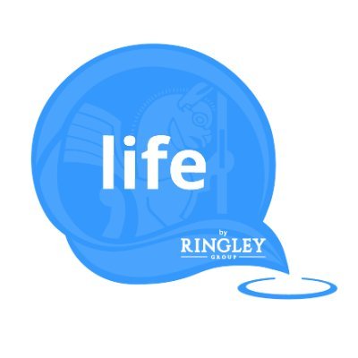 Life by Ringley