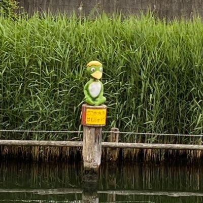 booochan0515's profile picture. 