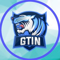 GTIN eSports (@gotoinvade) 's Twitter Profile