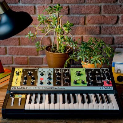 PapaliaSilvano's profile picture. 