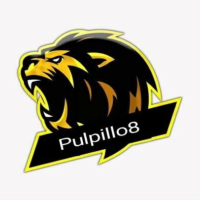 TTVpulpillo8's profile picture. 17.
🎮🎮