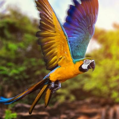 zzeko620's profile picture. 