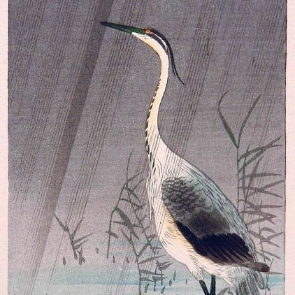 wakumat's profile picture. 