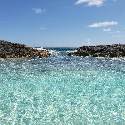 Cholt_45's profile picture. 