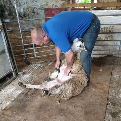 ajsclipewe's profile picture. We run a  small family farm on the urban fringe