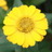 leeji0121's profile image