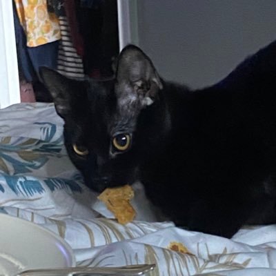 LadyCari's profile picture. Just me being me