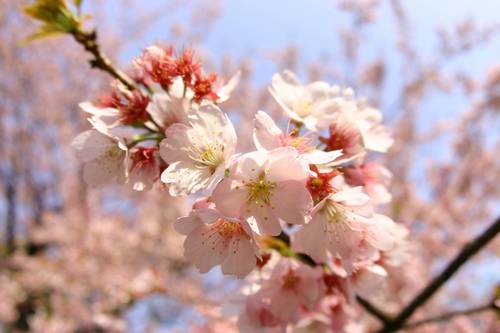 会計知識深めるために簿記１級勉強中。行政書士から法律系資格も目指したい。東大→都銀→京都大学院修了。ガーシー応援→立花孝志・NHK党応援。東野圭吾、全作品読了中