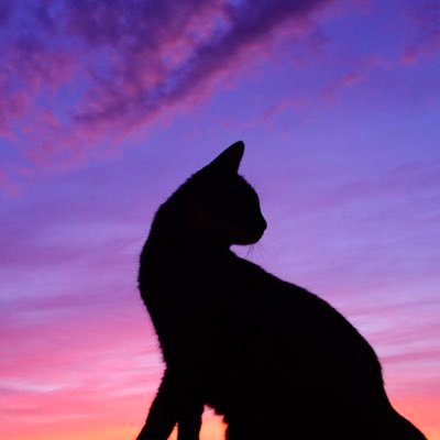 _YUimiUY_'s profile picture. どっかの畑で育ってる🍆