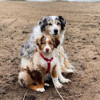 Trips_86's profile picture. 