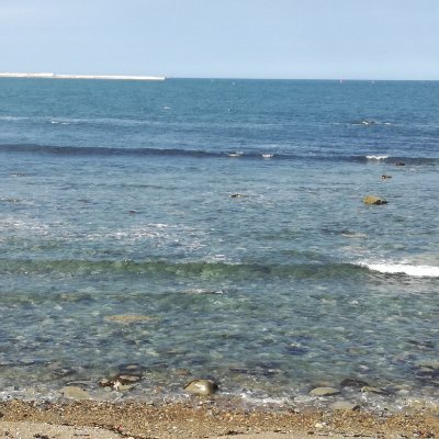 Y8pBDbFCGxDgPMZ's profile picture. ANTIFA