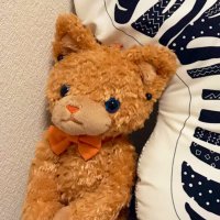 もちほ (@chiho_1124) Twitter profile photo