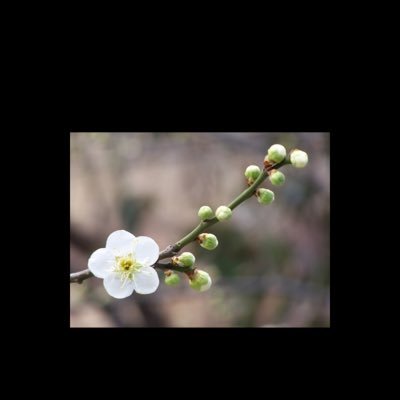 samcjs2's profile picture. 지도자의 덕목 도덕성 ,남을위한배려