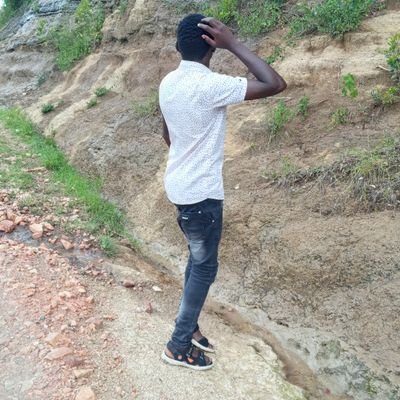 KipsBett16's profile picture.