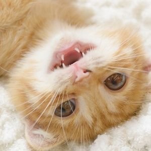 hYmWyyPb111's profile picture. 