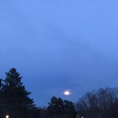 Livezennlife's profile picture. artist, writer, student, meditator, humanist