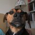 Guy D-S (@guyds1969) Twitter profile photo Guy D-S (@guyds1969) Twitter profile photo
