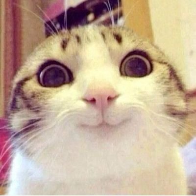 AuroraDarkside's profile picture. ฉันก็แค่คนขี้เกียดคนหนึ่ง