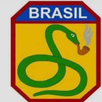 BRASIL SEMPRE 🇧🇷🇧🇷🇧🇷 (@semprevidacasal) 's Twitter Profile