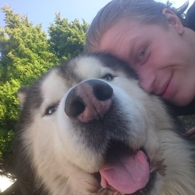 RyanHoult's profile picture. 