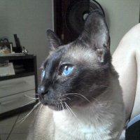 Gus || Full-stack Dev (@gus_dev) 's Twitter Profile