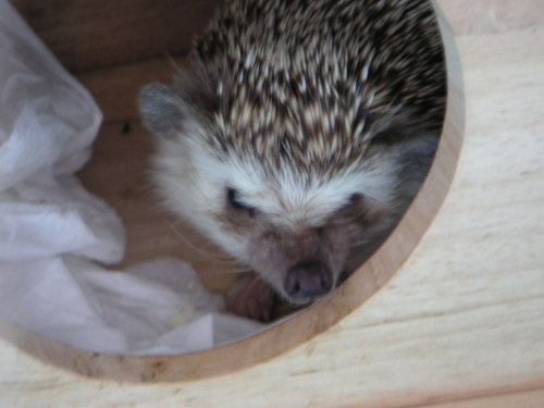 1844sryb's profile picture. 神戸生まれの横浜育ち。