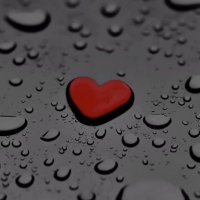 حورية (@houre144) 's Twitter Profile Photo