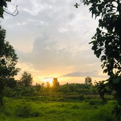 RioWildan4's profile picture. zero