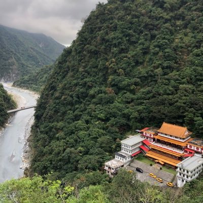 alatus's profile picture. my @ is not for sale