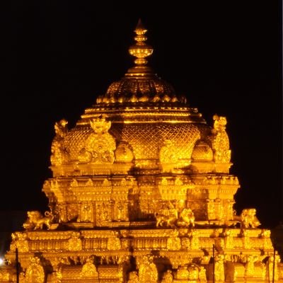 NVR1984's profile picture. 