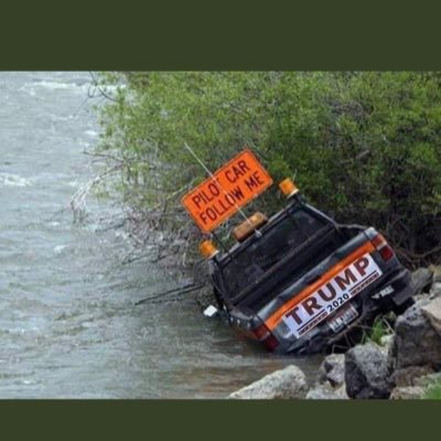 bman7777's profile picture. Never Trumper. Treat people like you would like to be treated..#votebluenomatterwho #impotus45 #impeachbarr