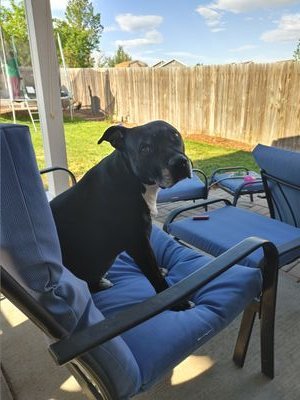 TEaziest1's profile picture. A little balance goes a long way!!