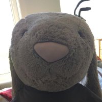 Rad (@retireyoungcc) 's Twitter Profile