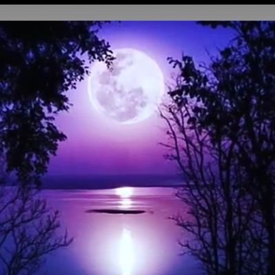 karayelnazo's profile picture. Allah katında din suphesiz islamdir