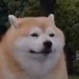 JxcX6DfjXrcvcZc's profile picture. 