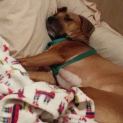 DoubleHP's profile picture. #Keeping the earth alive one day at a time.