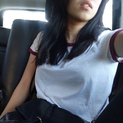 bacterola's profile picture. blerp