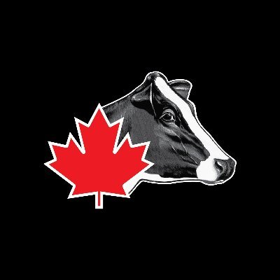 HolsteinCanada Profile Picture