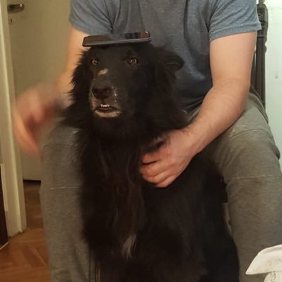 pizzayplomo's profile picture. 