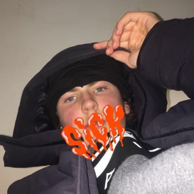 tinys85458033's profile picture. probably fried