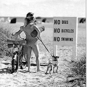 dorisdaisies's profile picture. pam pam pam param pam