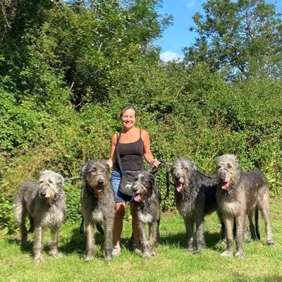 🐺🐺🐺🐺Duffy, Domhnall, Floinn & Nuala and in memory of Dàire, Declan, Dermot & Reilly🐾🐾🐾🐾              Instagram: wolvebrigg_irish_wolfhounds