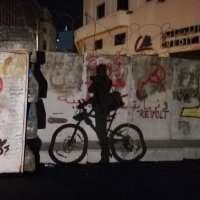 Catrin Froehlich (@catfroh) 's Twitter Profile