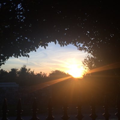 plato_lea's profile picture. All about pure love, truth and being free 💜
