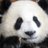 fets85's profile image